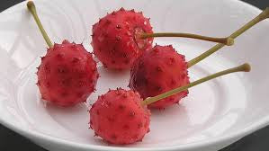 Meilleur fruit japonais